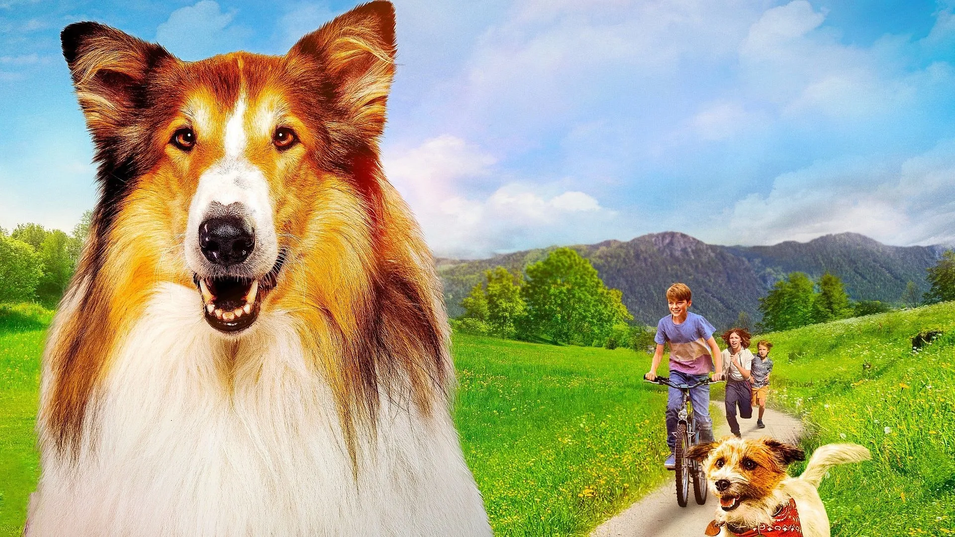 Lassie: Nové dobrodružstvo