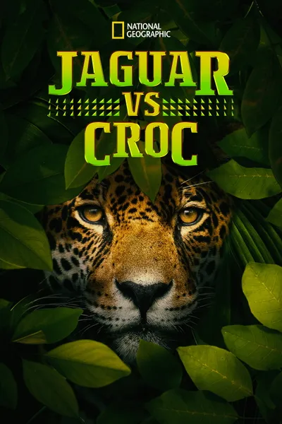 Jaguár vs. krokodýl