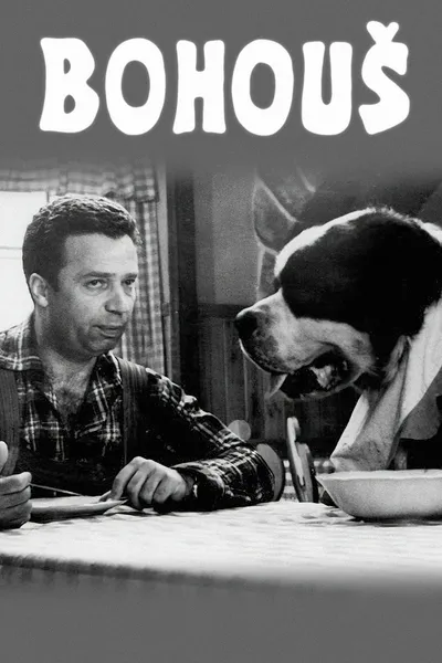 Bohouš