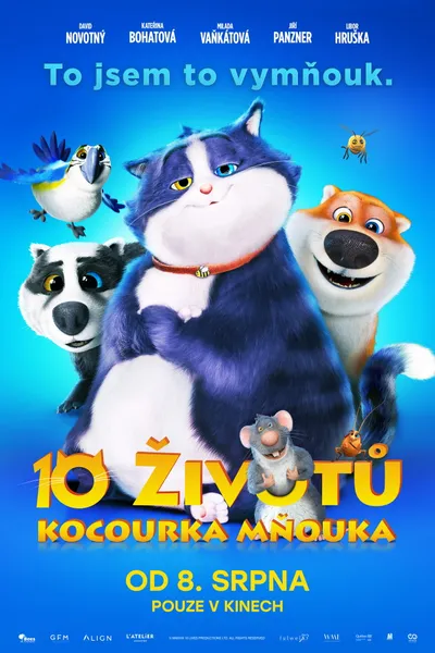 Mačacia duša