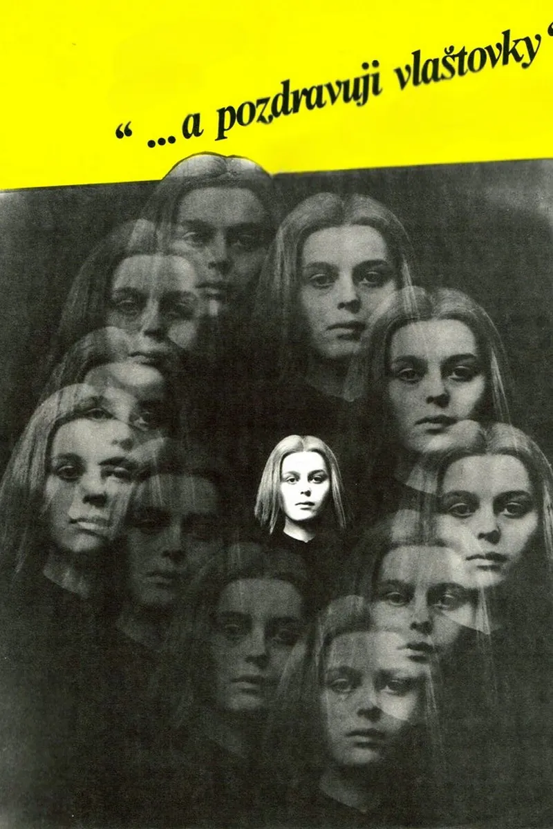 ...a pozdravuji vlaštovky