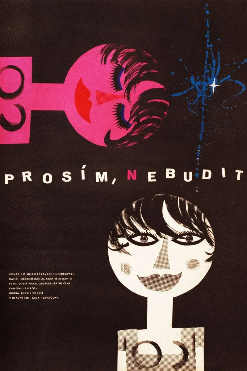 Prosím, nebudit – plagát
