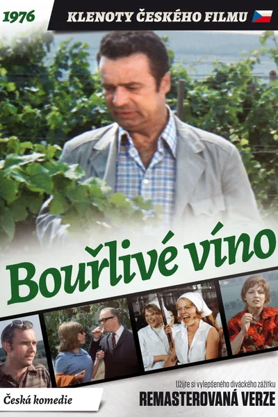 Bouřlivé víno