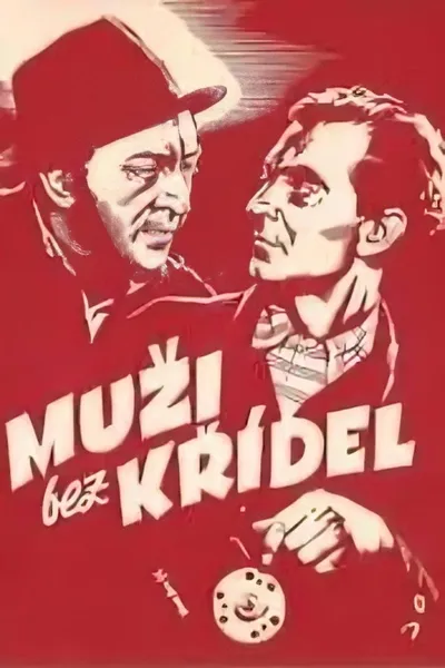 Muži bez křídel