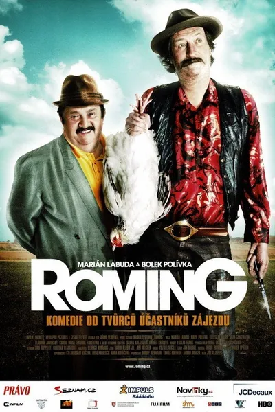 ROMing