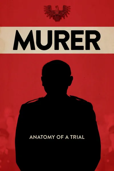 Murer - Anatomie procesu