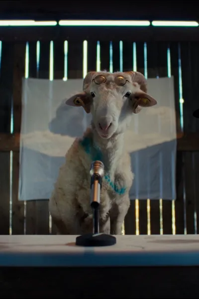 Sheep
