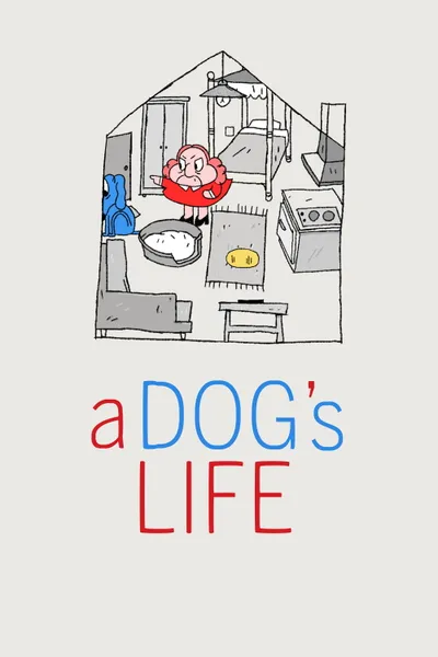 A DOG'S LIFE