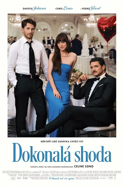 Dokonalá shoda