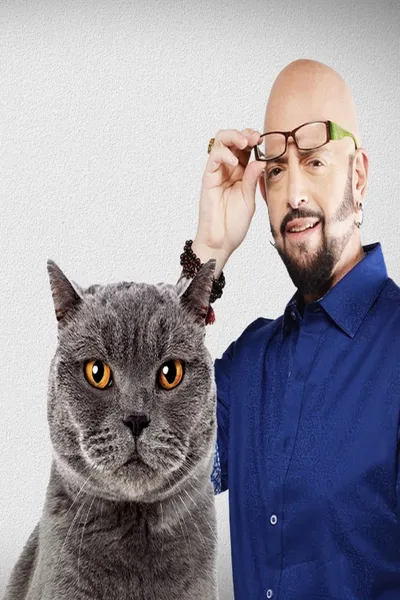 Má pekelná kočka