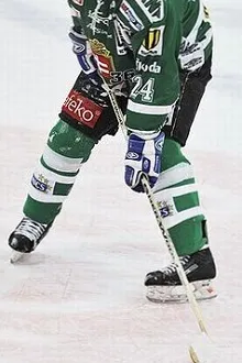 Ziggy Pálffy