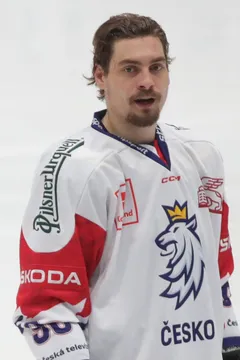 David Tomášek