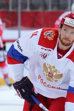 Vladislav Gavrikov